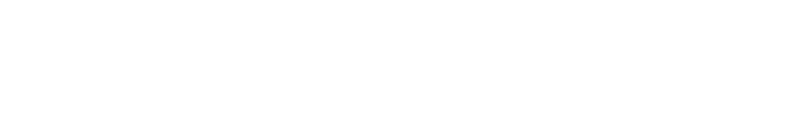 The Bulladoir Project, Inc