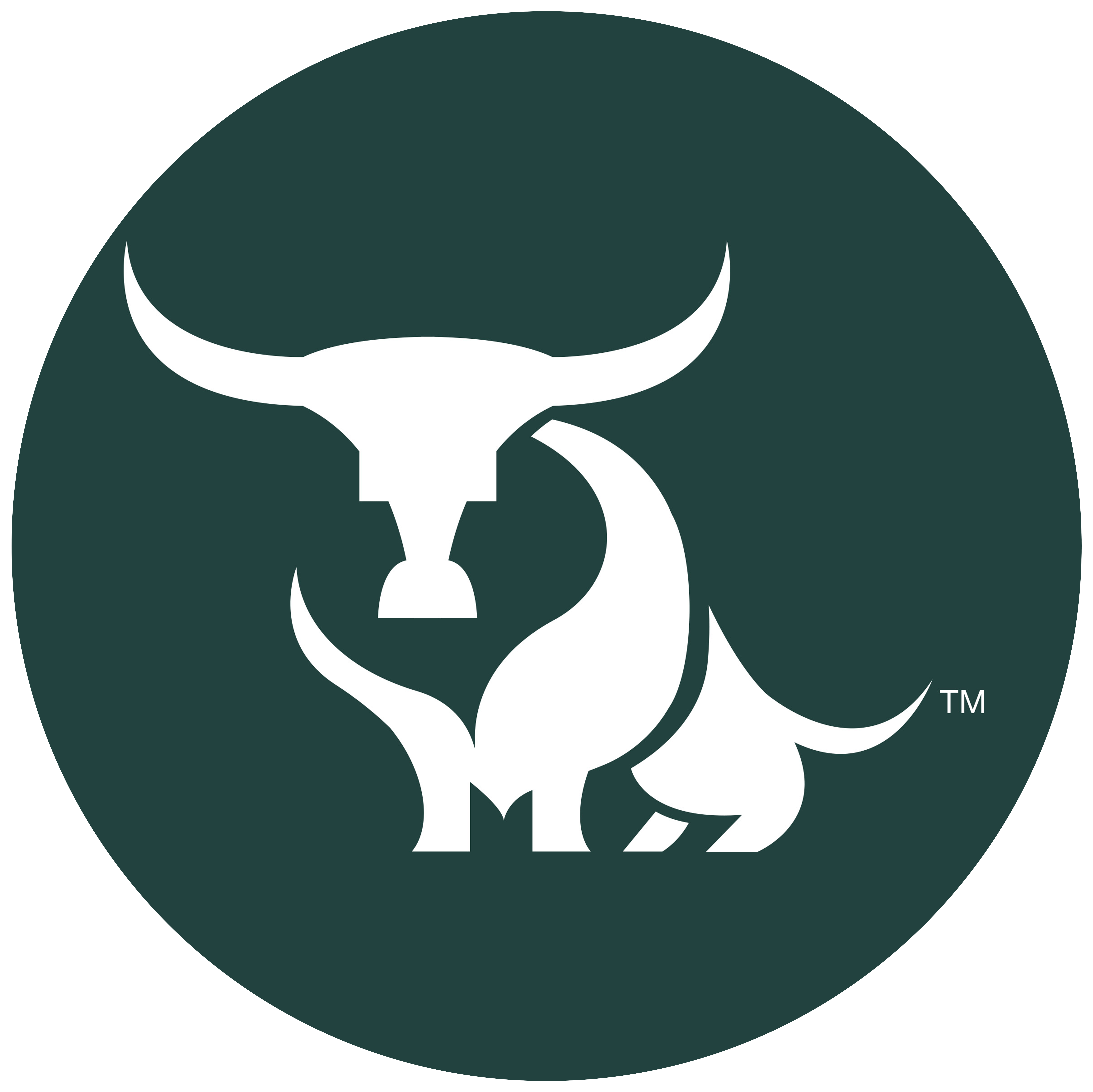 icon bull