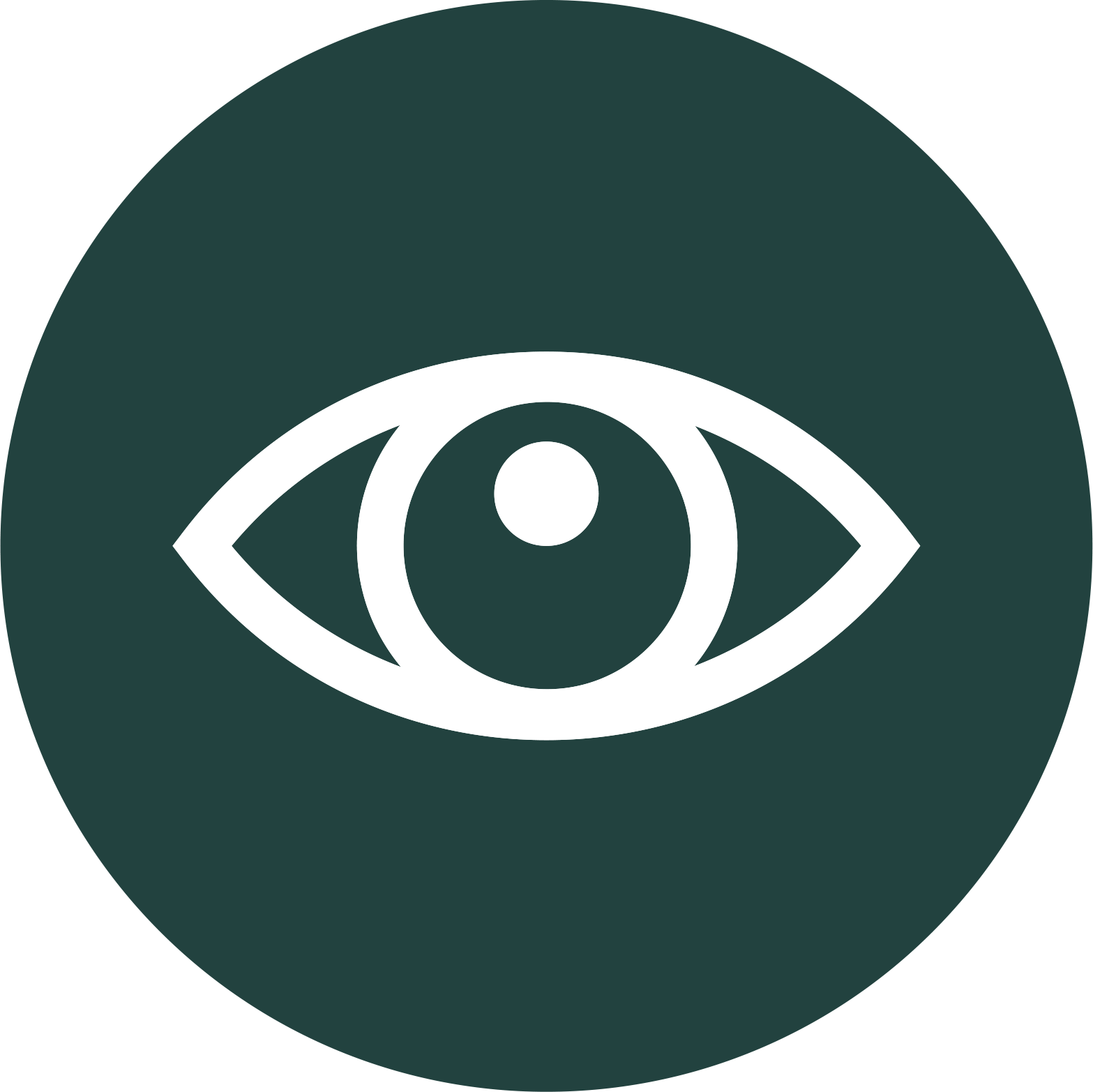 Icon Vision